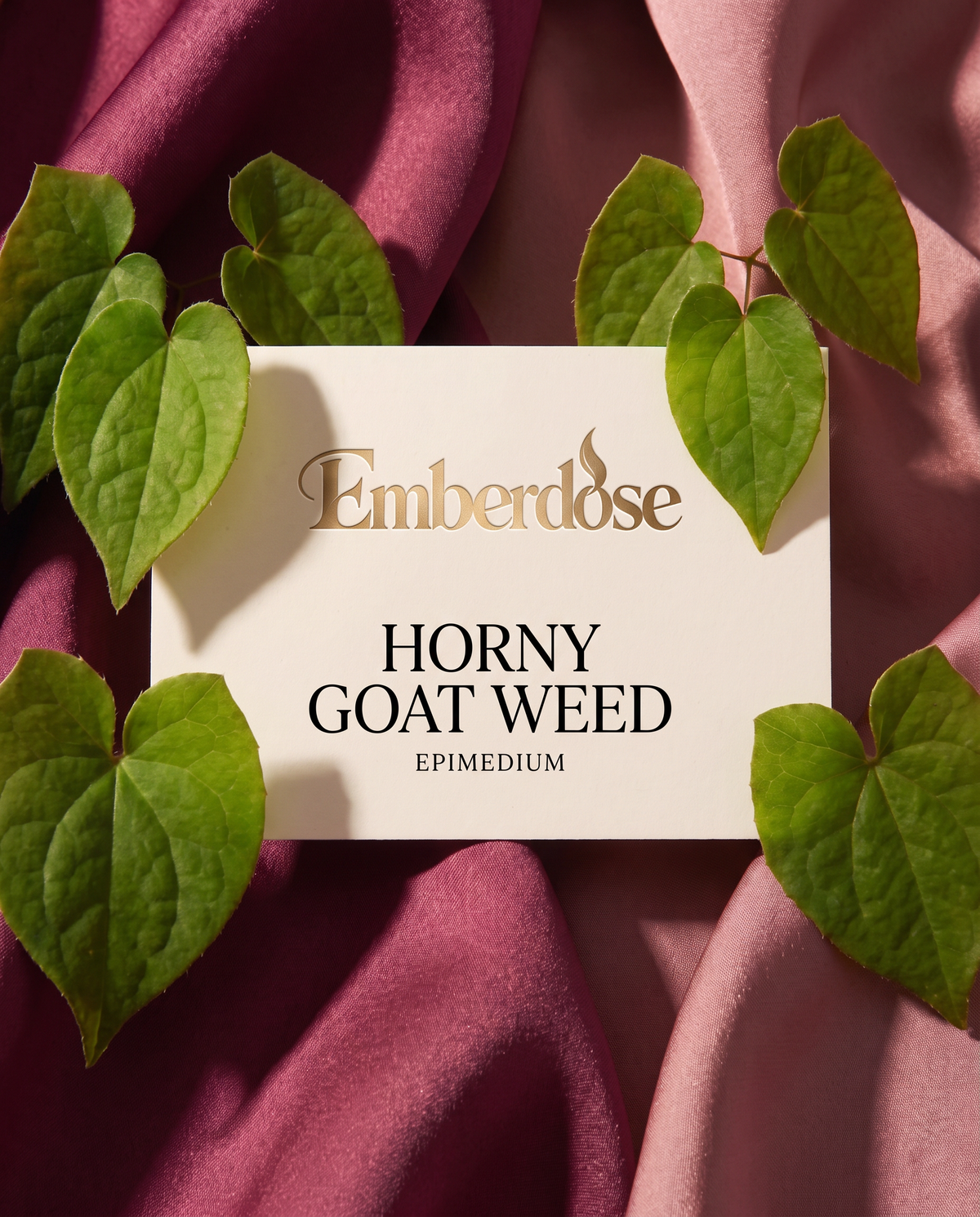 Horny Goat Weed