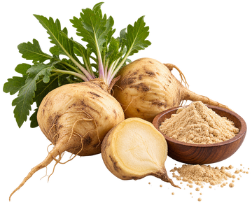 Maca Root